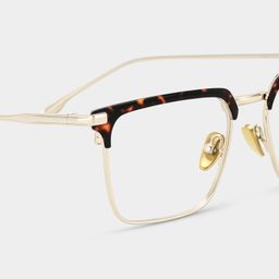 Addison Tortoise Browline Glasses4