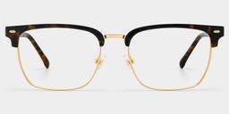 Braidsby Tortoise Browline Glasses1