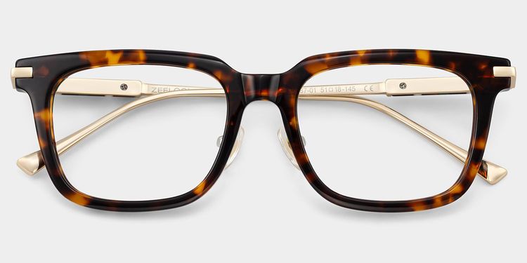 Rayne Tortoise Square Glasses
