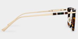 Rayne Tortoise Square Glasses3