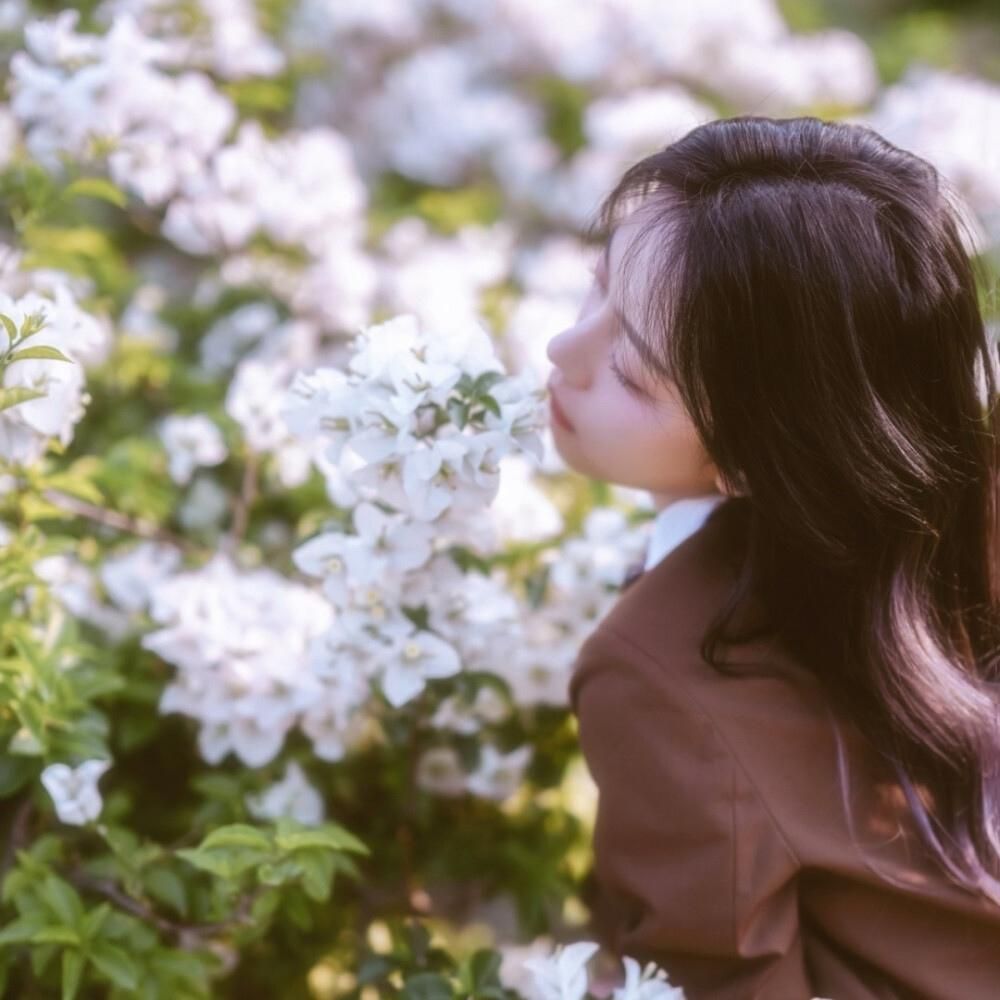 Buy  Optical Glasses and EyeWear Frames on Zeelool12