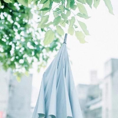 Buy  Optical Glasses and EyeWear Frames on Zeelool10