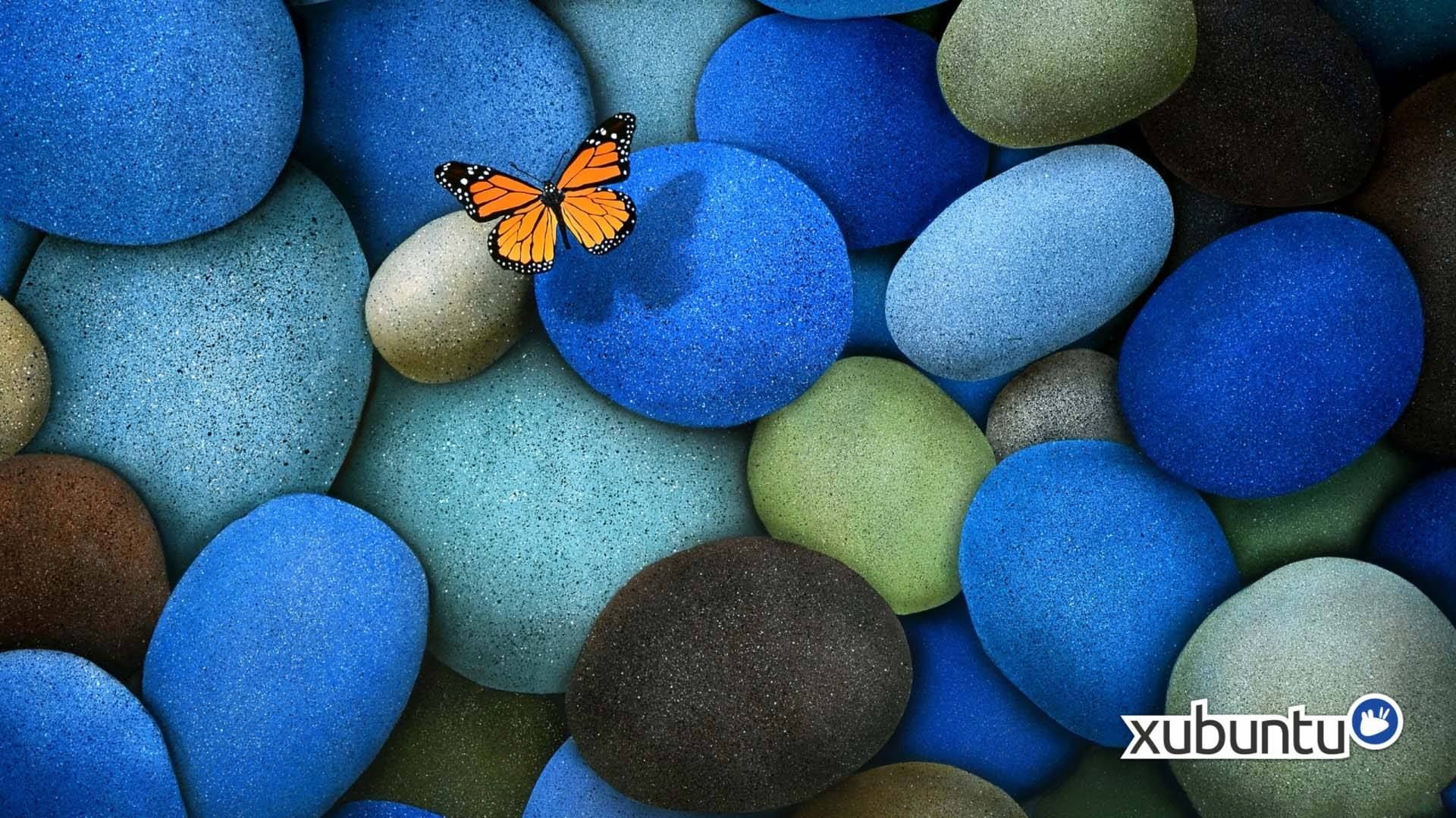 Buy  Optical Glasses and EyeWear Frames on Zeelool2